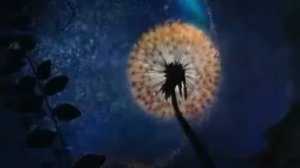 ЩЕЛКУНЧИК  ТАНЕЦ ФЕИ ДРАЖЕ  (Azerbaijan)