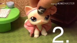 Первое видео на канале! Вопрос/ответ! Пожалуйста не судите строго!