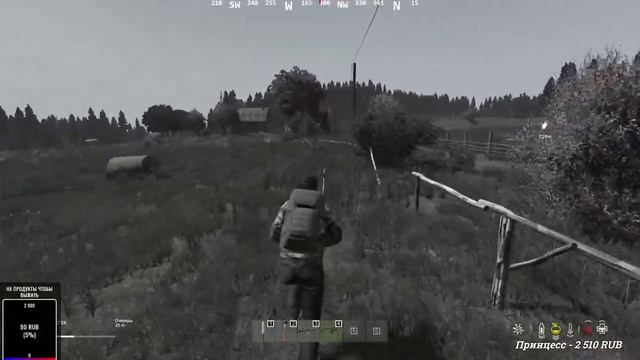 DayZ | Сервер Eternal - ТУТ НЕТ РП / НАБОР В КЛАН смотреть онлайн