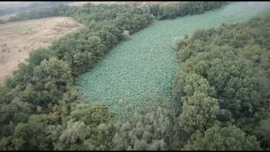 Там лотосы цветут..