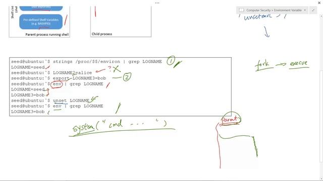 Environment Variable and Security Lecture смотреть онлайн