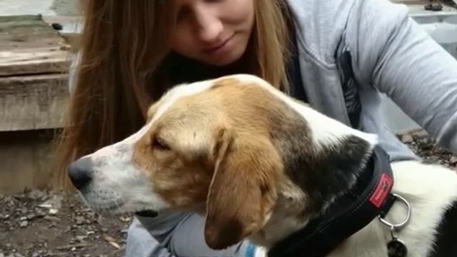 МИХЕЙ часть 1 Спасение Михея