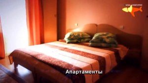 Пансионат Танжер г Саки, Крым