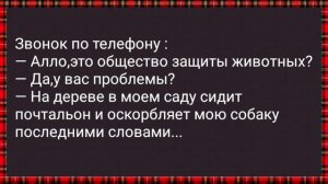 Как Начальник с Секретаршей Грешил! Сборник Свежих Анекдотов! Юмор!