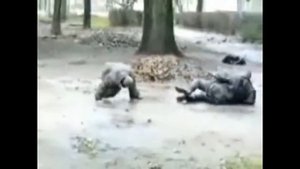 Ленинград   Хорошо быть Алкашом