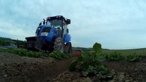 Сельское хозяйство и сбор урожая тыквы - удивительная сельскохозяйственная ферма Японии