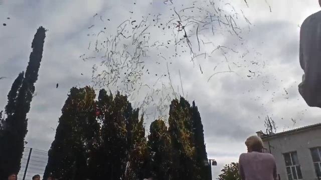 Хлопушки на 