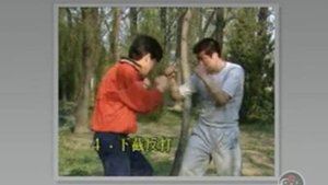 Бокс богомола в традиции Великого Мастера Ма Ханьцина.#6