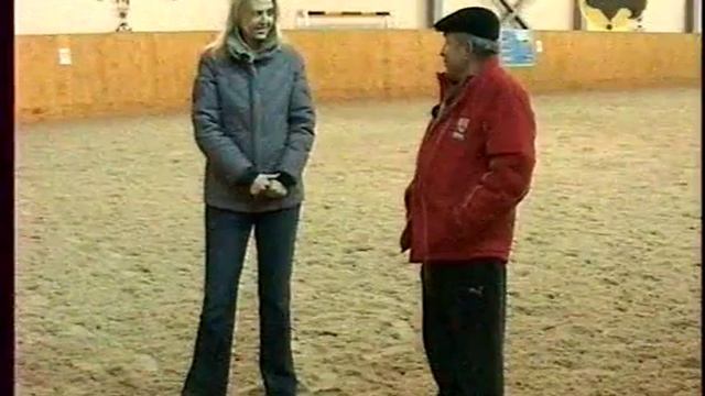 Выездка лошадей. Конный спорт. Независимая посадка. КАК? смотреть онлайн