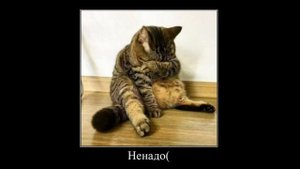 28 ударов ножом, ты действовал наверняка, да?