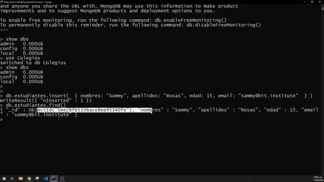 Insertar datos en MongoDB