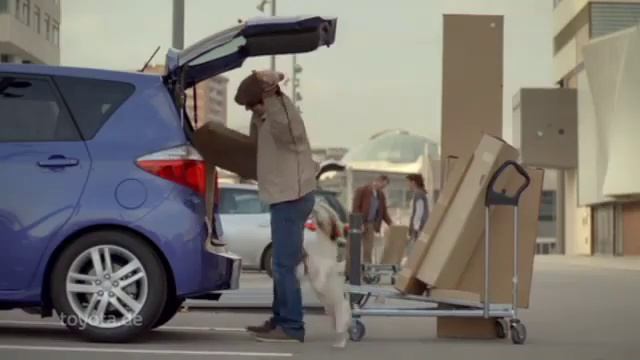 Sales Videos / TV-Spot Verso-S Hund смотреть онлайн