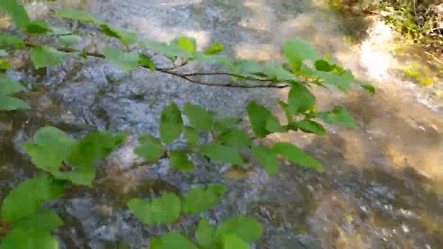 СЕНОКОС ручной косой. смотреть онлайн