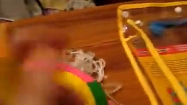 Мягкая книжка K'S KIDS Угадай, чей хвост! смотреть онлайн