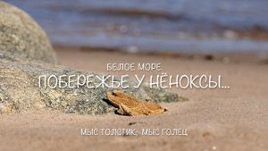 Побережье у Нёноксы...