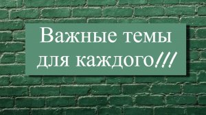 БЛИЦ! Ценность Жизни! Осознанность! Энергия! Фокус внимания!