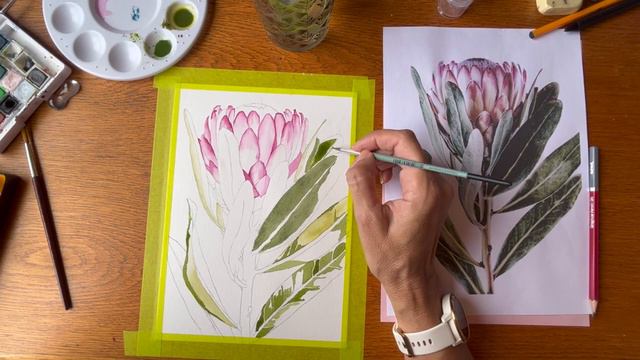 PROTEA смотреть онлайн