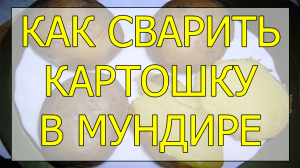 Как сварить картошку в мундире. Сколько варить картошку в мундире