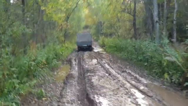 Дорога на деревню БЕЛУШКА, Окуловский район. смотреть онлайн