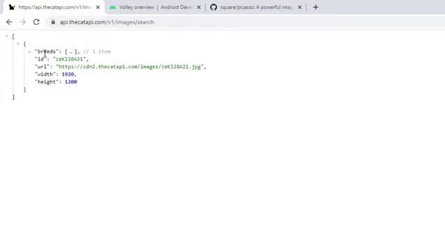 Random Image Generator Android App Using JSON API | Part - 3| Android Tutorials for Beginners 2021 смотреть онлайн