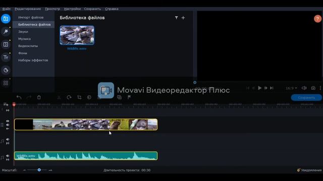 Как скачать movavi video editor plus БЕСПЛАТНО!? смотреть онлайн