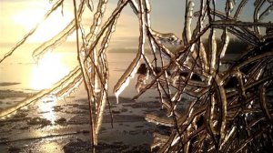 5 причин почему Аллах посылает нам испытания?!