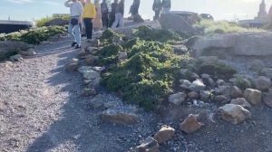 Центр Москвы! Парк Зарядье! ?Гуляем с детьми?