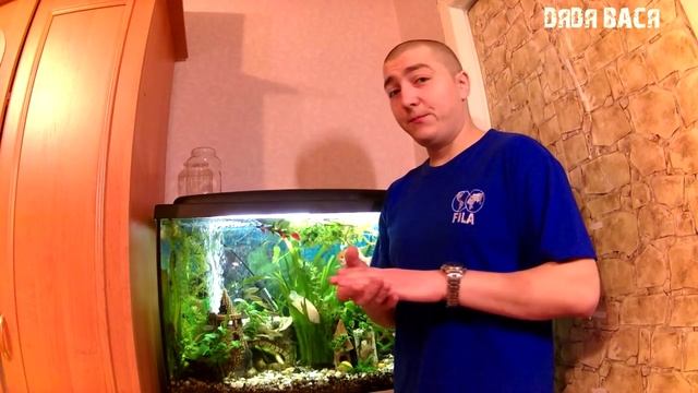 Аквариум для начинающих! Ошибки начинающих аквариумистов! [#Аквариум для начинающих] смотреть онлайн