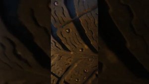 Michelin x-ice north 4. 40000 км. Что стало!