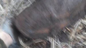 Торфяной стан 540кг