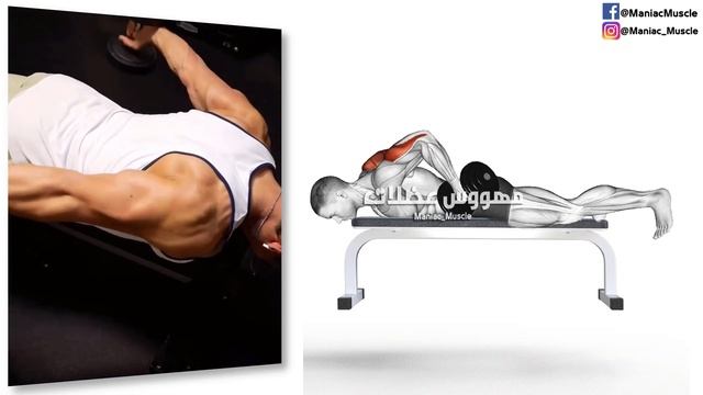 BEST 7 Lateral head Triceps Workout Dumbbells