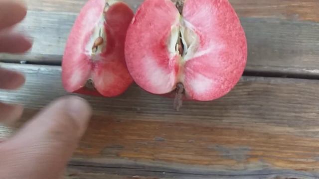 Яблоня красномясая сорт Байя МарисаApple Baya Marisa . Дегустация
