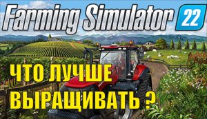 Farming Simulator 22 - Что лучше выращивать?