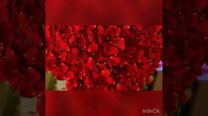 Видео-поздравление от детей ко Дню Матери!