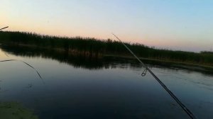 Мои первые ощущения от дорогой палки. Graphiteleader ASPRO