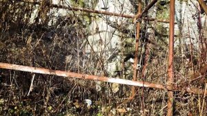 Castles of Slovakia: Epic adventure in Likava castle