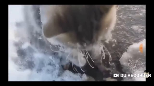 Спасение котят начало. смотреть онлайн