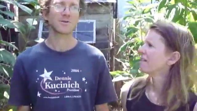 sunchokes aka jerusalem artichokes - highest calories per acre and easiest to grow смотреть онлайн