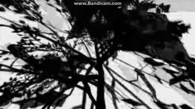 Мику хацуни смотреть онлайн