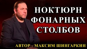 "НОКТЮРН ФОНАРНЫХ СТОЛБОВ". Автор - Максим Шингаркин