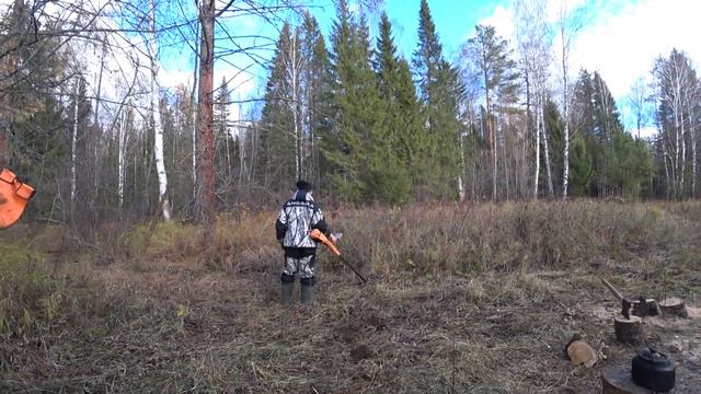 Это хотим,то хотим и всё хотим! смотреть онлайн