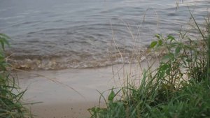 3 Три жизненных Креста! Феофан Затворник