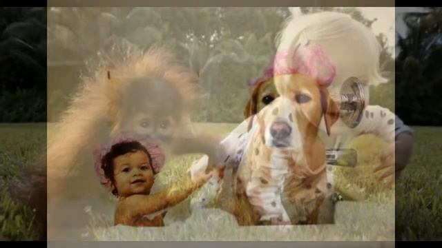 ДЕТИ VS Животные!! КТО КОГО??? смотреть онлайн