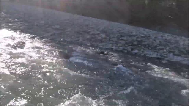 Сплав по реке Белая. Адыгея 12 сентября 2019. смотреть онлайн