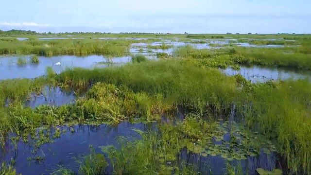 Природный заказник Дюнный Калининградская область смотреть онлайн
