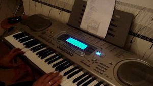 casio wk-3300