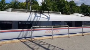 Поезда Ласточка и Сапсан на станции Химки