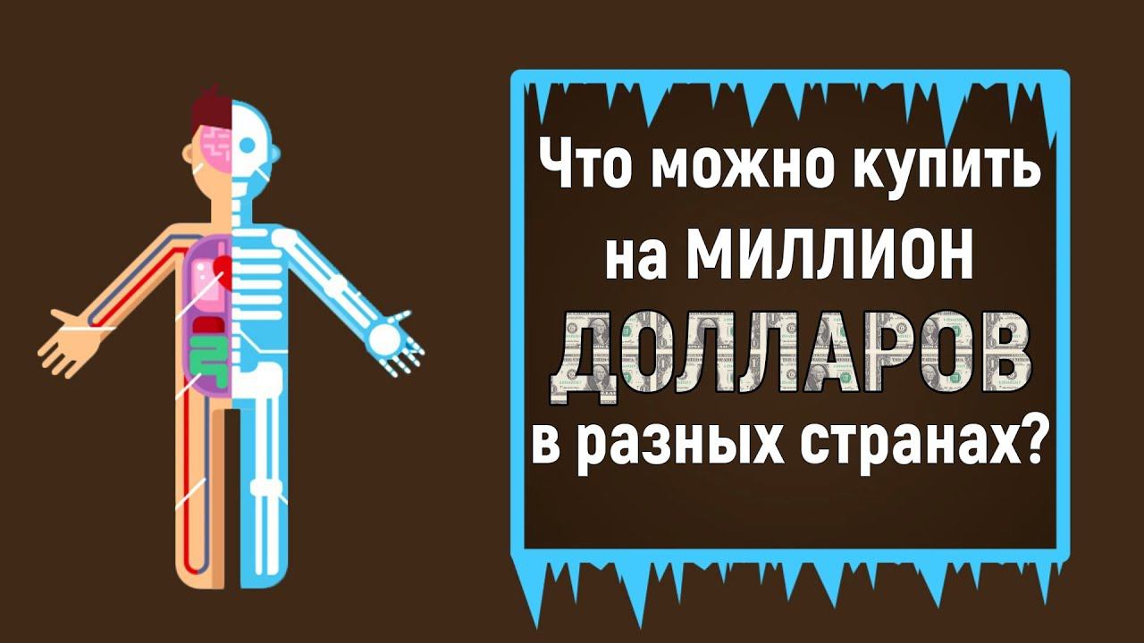 Что Можно Купить За 10 Миллионов