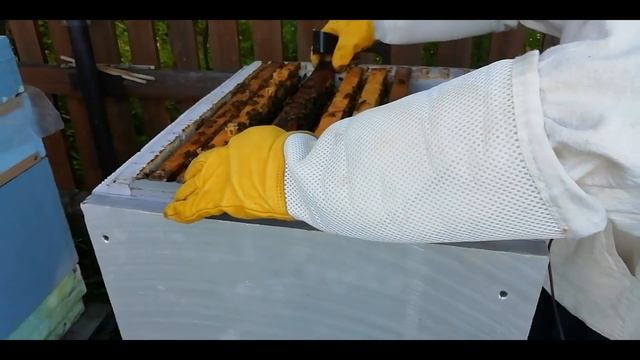 Простейшие отводки. - Как расширить пасеку.