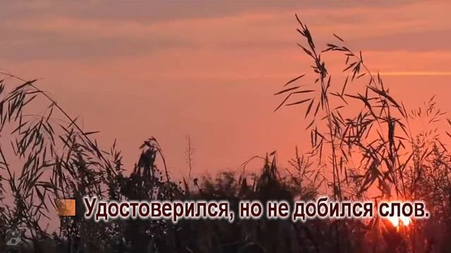 Светлана Питерская-Калина красная ,калина вызрела-караоке+бэк смотреть онлайн